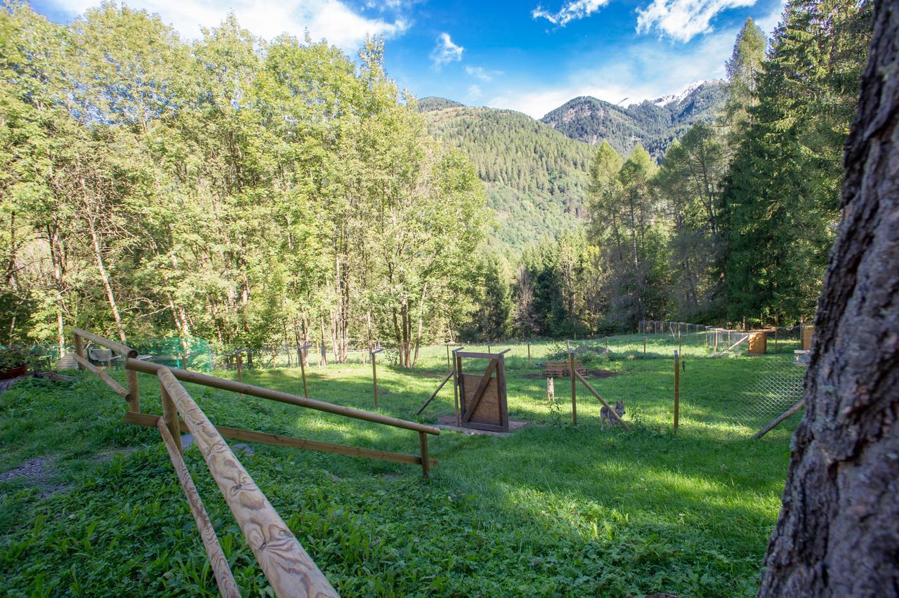 B/B La Locanda Delle Pulci Mezzana  Exteriér fotografie